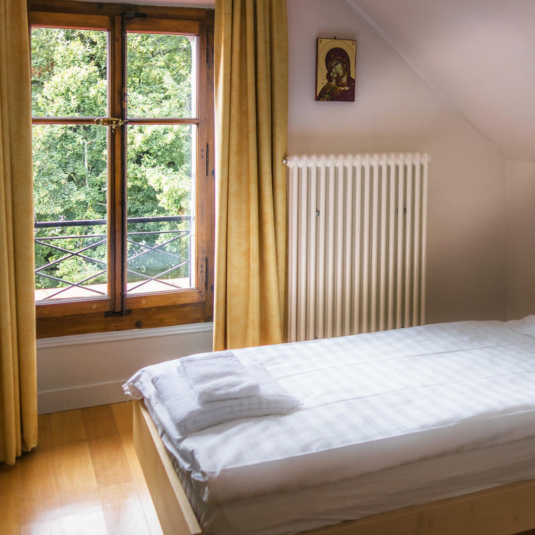 Chateau De Bossey Bogis-Bossey Rom bilde