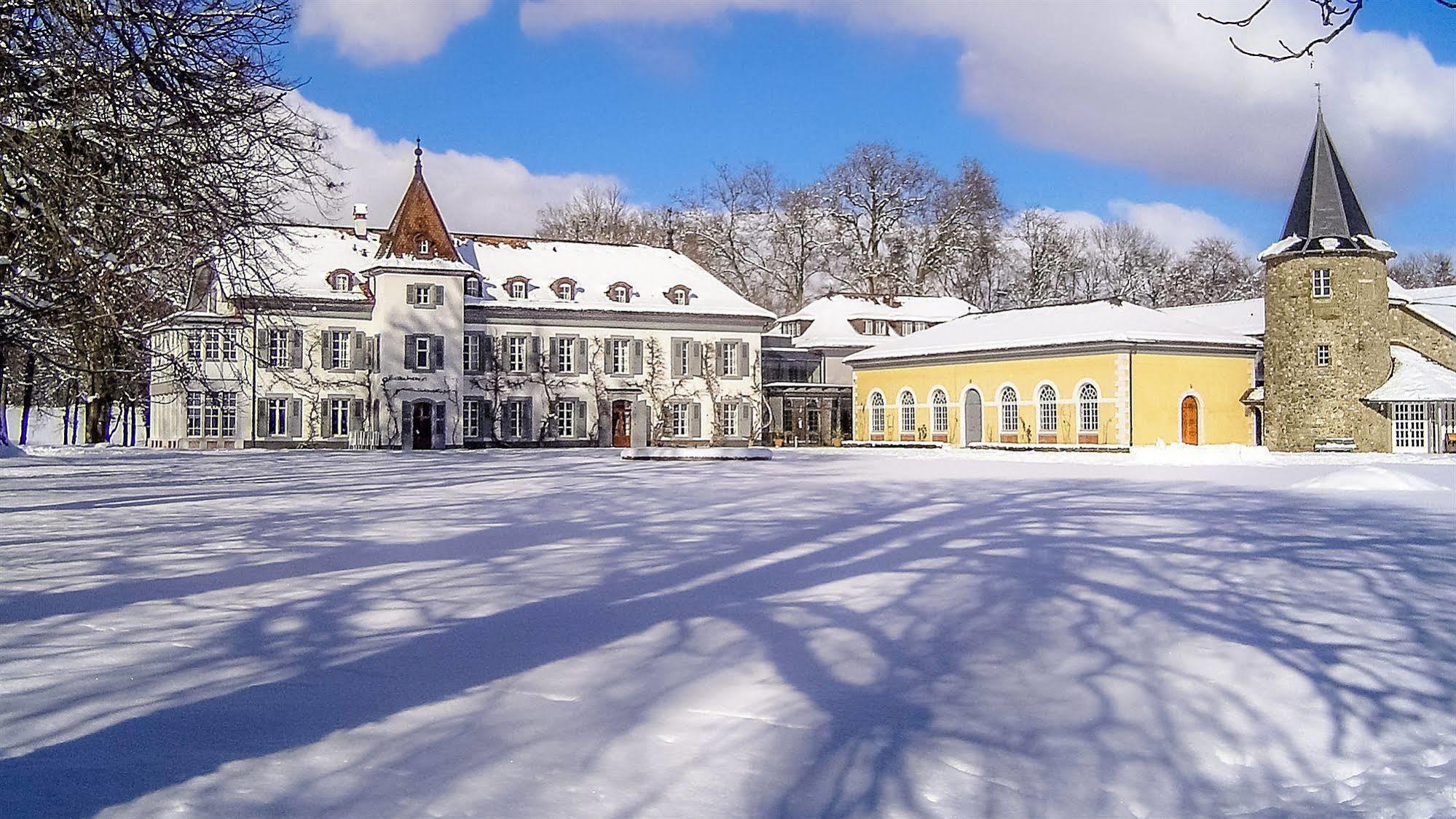 Chateau De Bossey Bogis-Bossey Eksteriør bilde